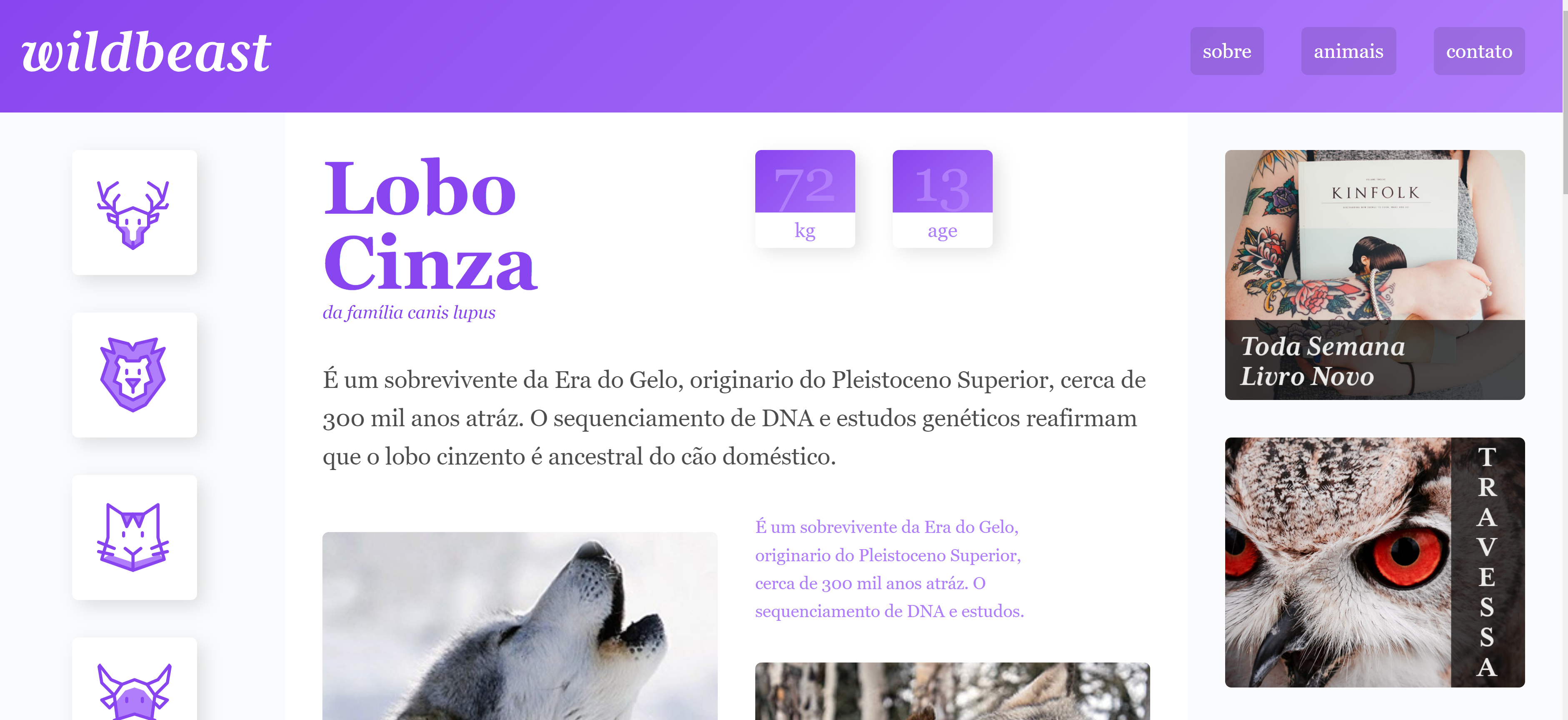 Projeto Wildbeast - Site sobre animais selvagens